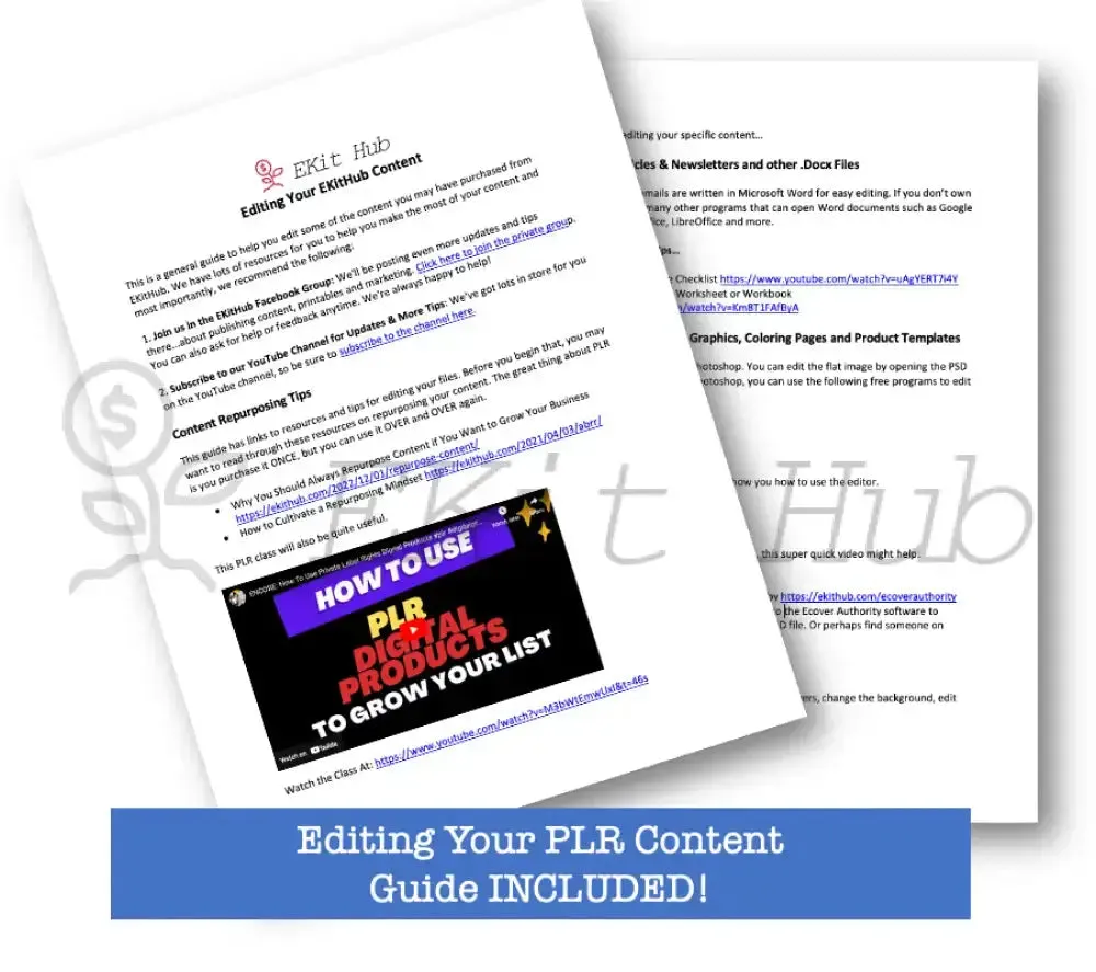 "How to Create a 5 Year Plan" PLR Report