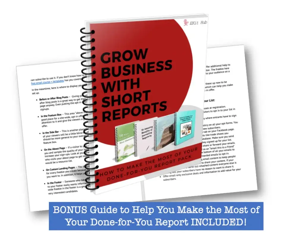 "How to Create a 5 Year Plan" PLR Report