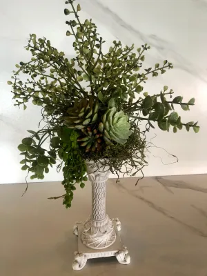 Succulent Arrangement